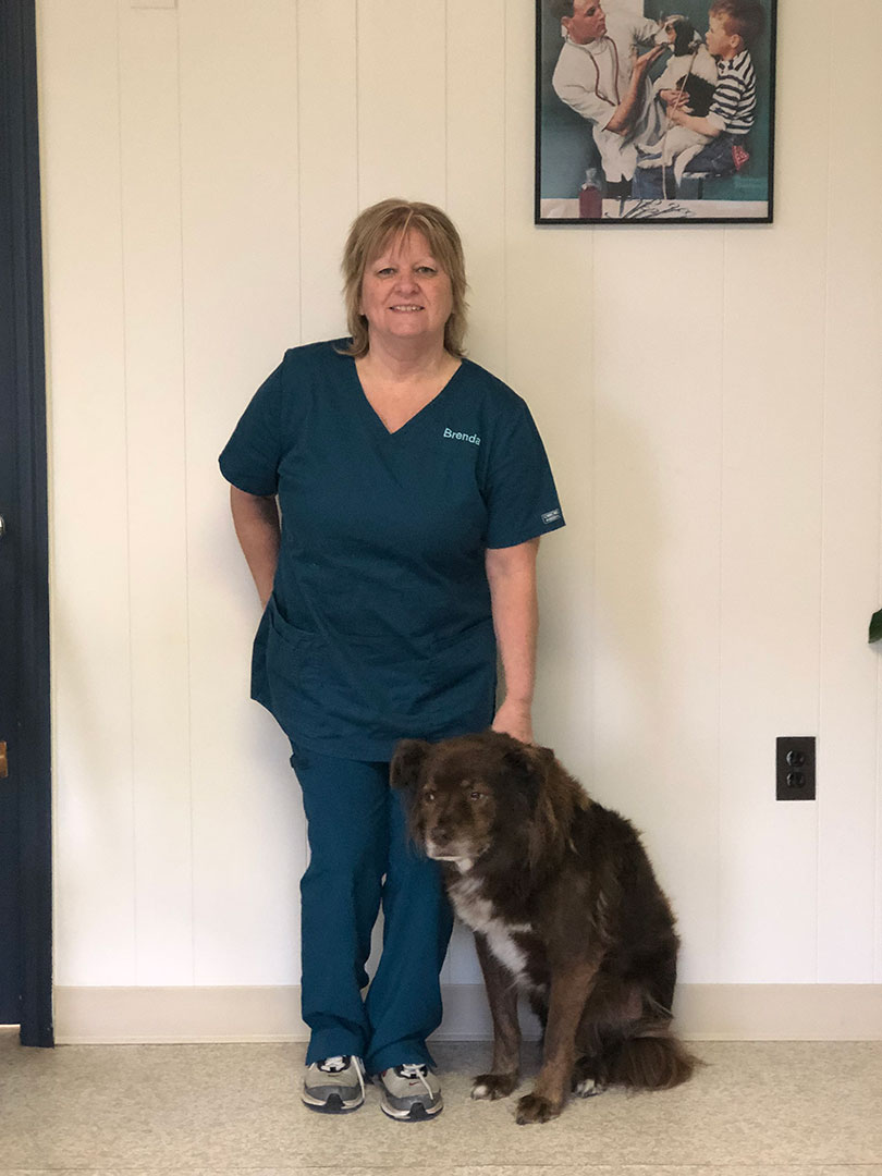 Staff Veterinarian in Lake Katrine, NY Lake Katrine Animal Hospital